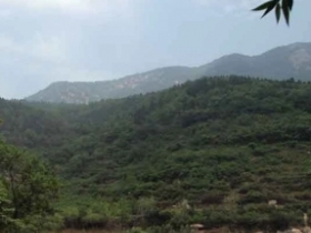 牛山