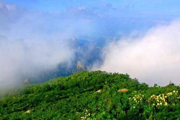 青龙祖山景区旅游攻略