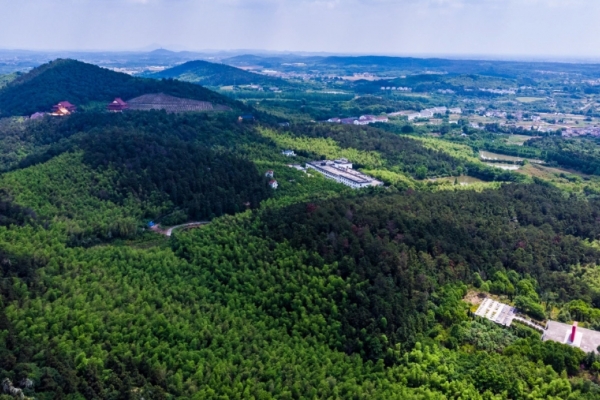 游子山图片