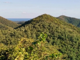 炮台山