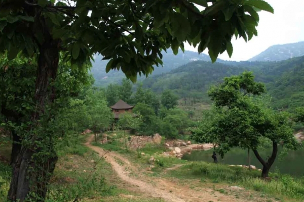 牛山图片