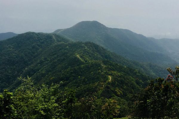 田心山图片