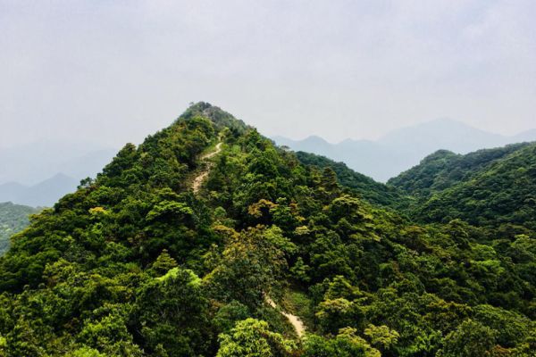 田心山图片