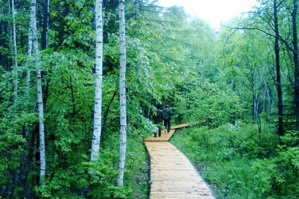 黑龙江胜山国家级自然保护区旅游攻略