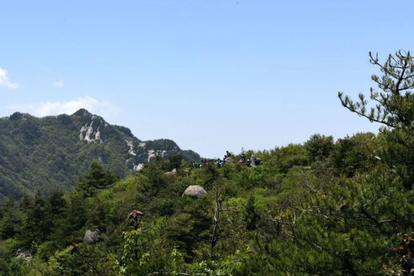 王顺山图片