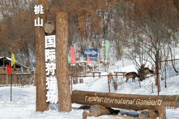 黑龙江桃山桃源湖旅游区旅游攻略