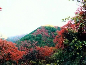 甘山