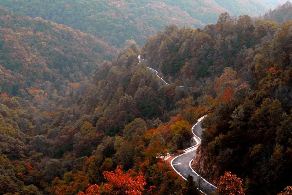 甘山图片