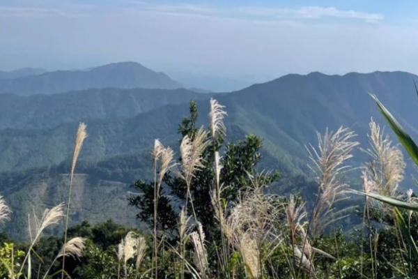 皂幕山图片