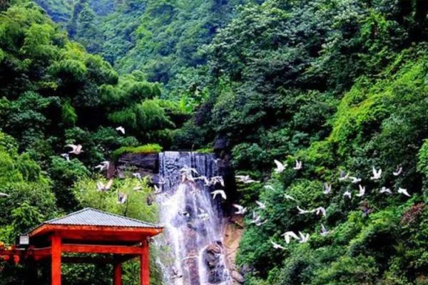 王仙岭图片
