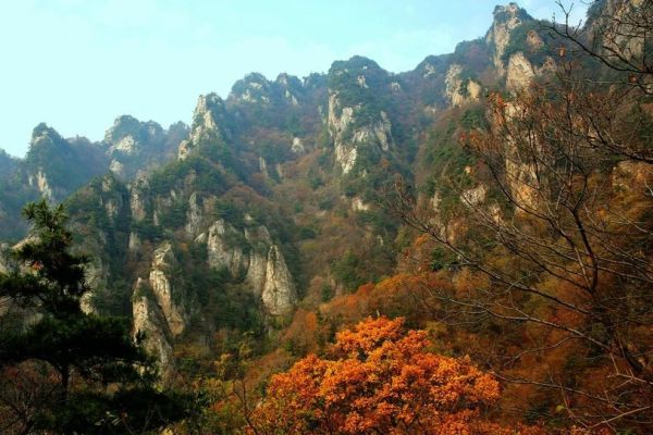 王顺山图片