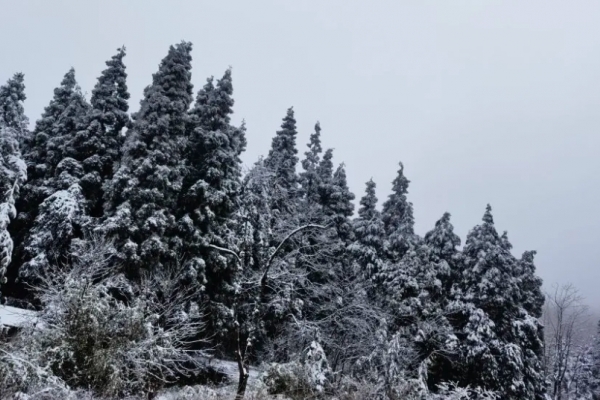 白马山图片