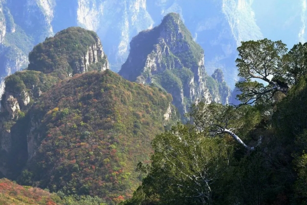 神龙山图片