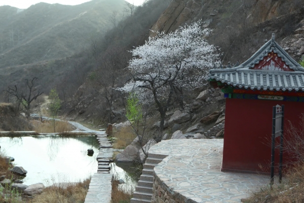 秋山图片