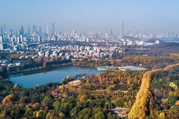 紫金山图片
