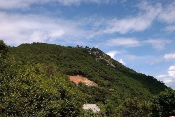 紫帽山图片