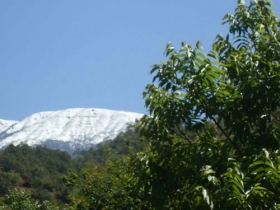 罗坪山