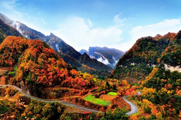 米仓山图片