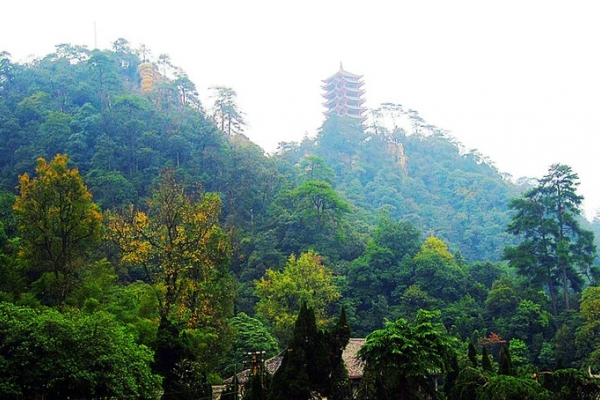 缙云山图片