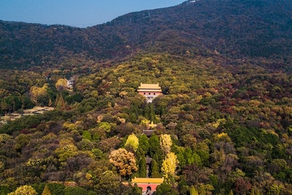 紫金山图片