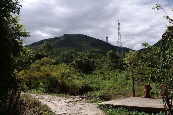 紫帽山图片
