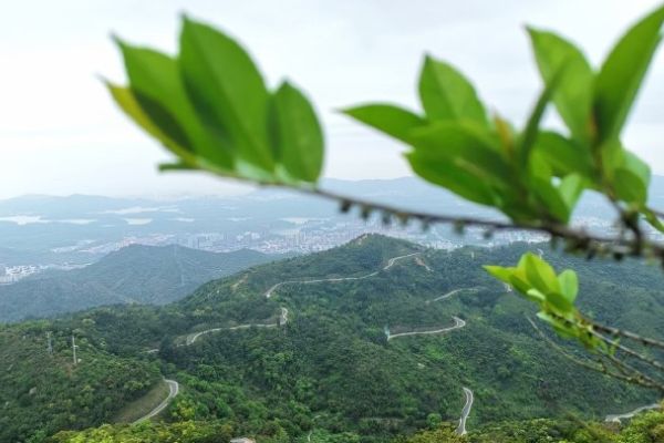 羊台山图片