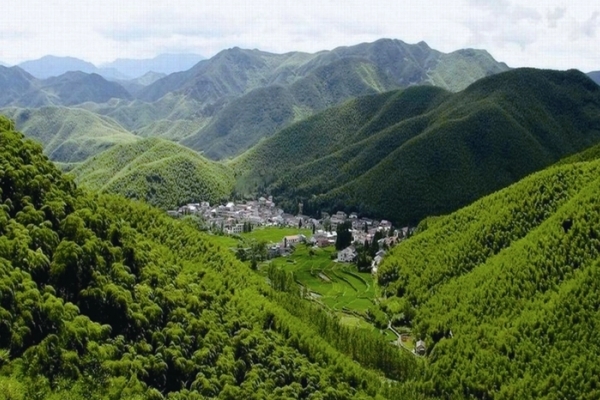 莫干山图片