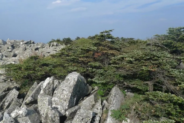 草链岭图片