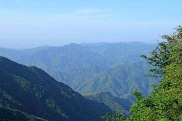 药菇山图片