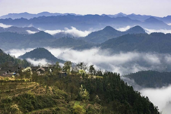 苗岭山图片