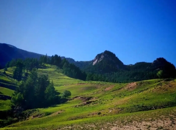 荷叶坪山