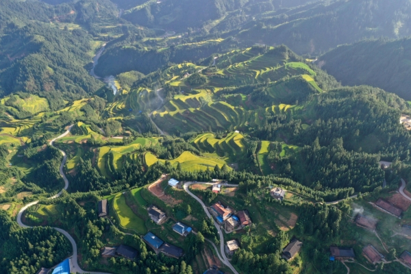 苗岭山图片