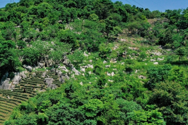 西岩山图片