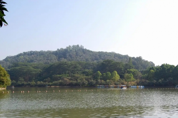 莲花山图片