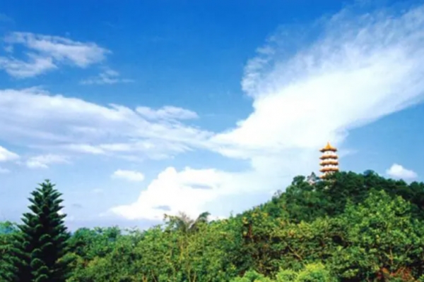 贞山图片