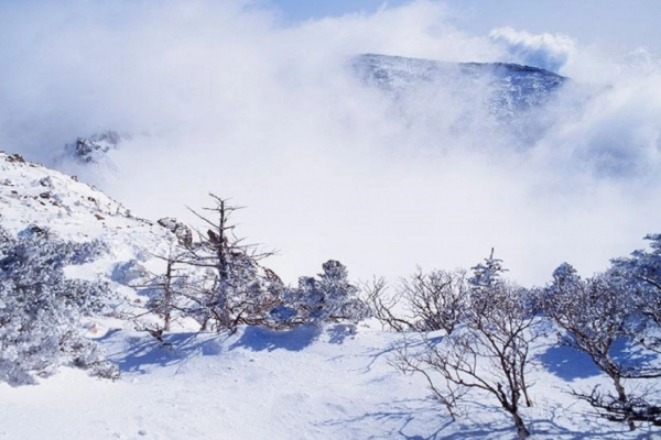 西岭雪山图片