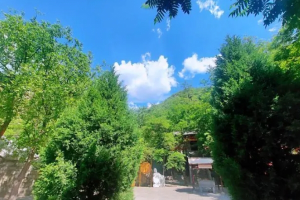 虎山图片