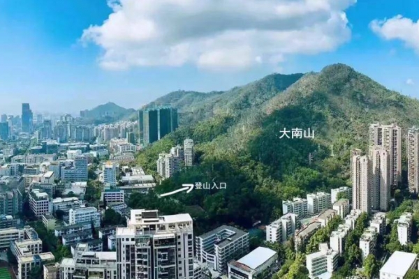 蛇口山图片