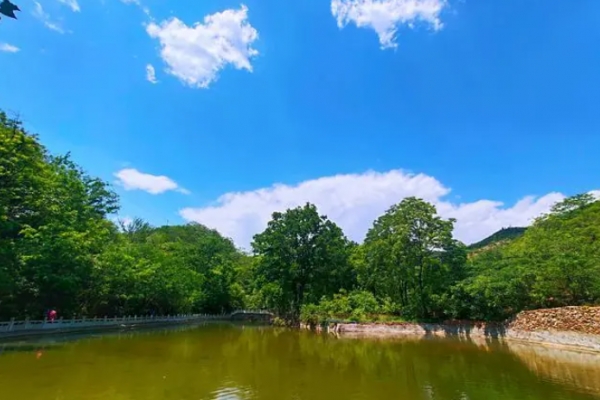 虎山图片