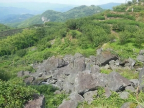 覆卮山