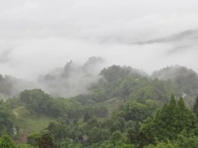 蒙顶山