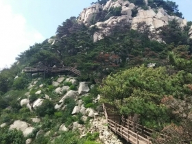 蒙山