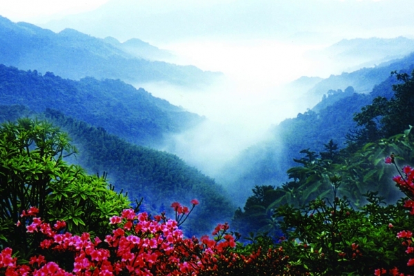 都庞岭图片