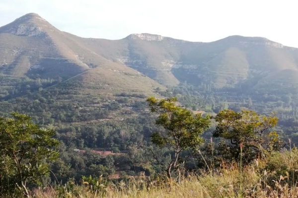 金斗山图片