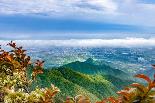 金华山图片