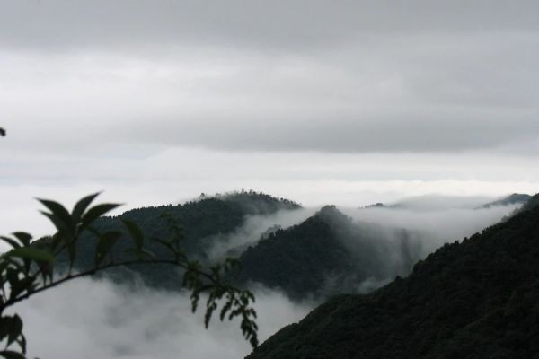 赵公山图片