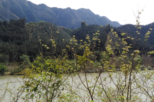都庞岭图片