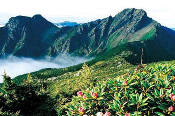 阿里山图片