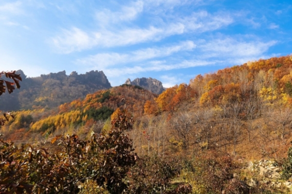 雾灵山图片