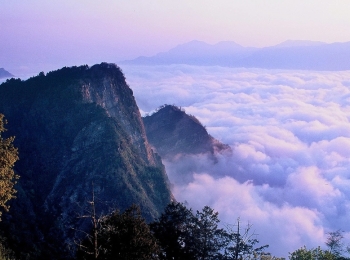 阿里山